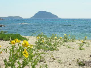 Apartamentos en Golfo Aranci, Sos Aranzos - Vista principal