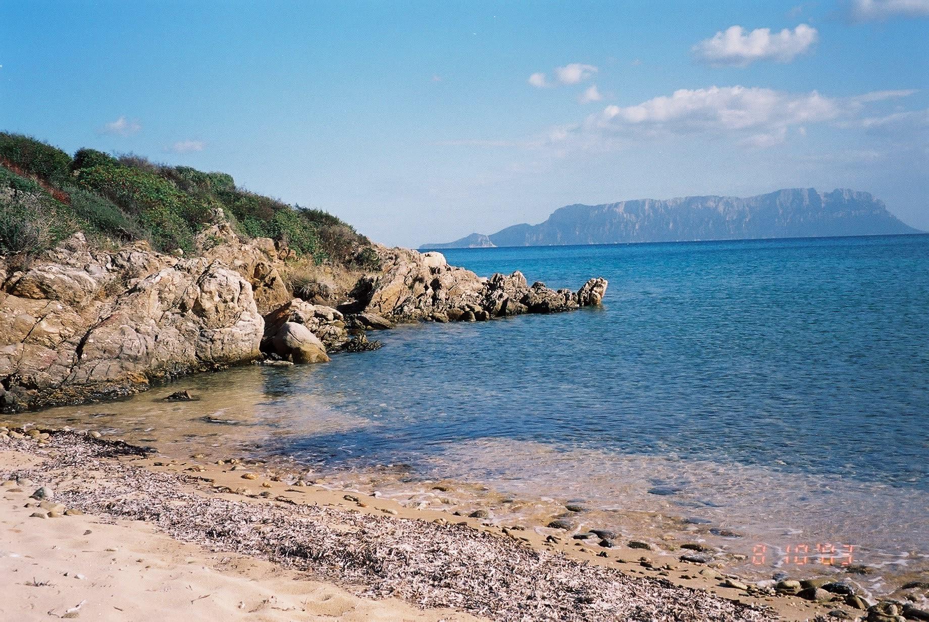 Residencia Juniperius en Porto Rotondo - Foto 5