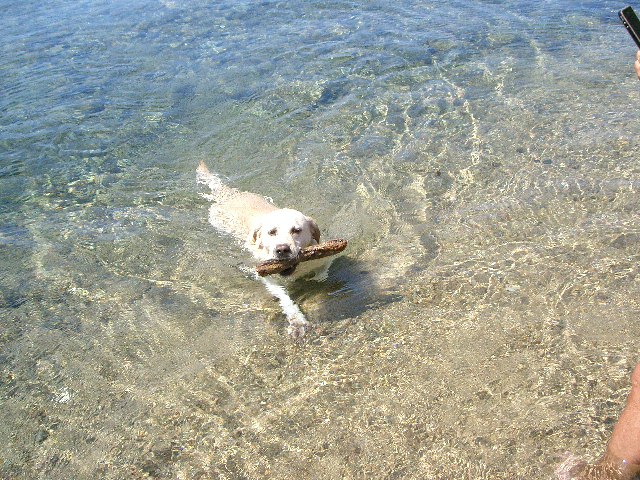 Foto 6