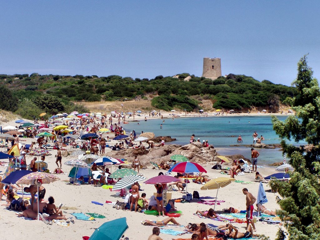 Spiaggia di Vignola - Vignola - Gallura - Sardegna