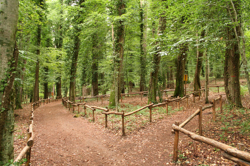 La Foresta Umbra Puglia
