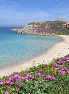Primavera in Gallura - Santa Teresa Gallura - Sardegna