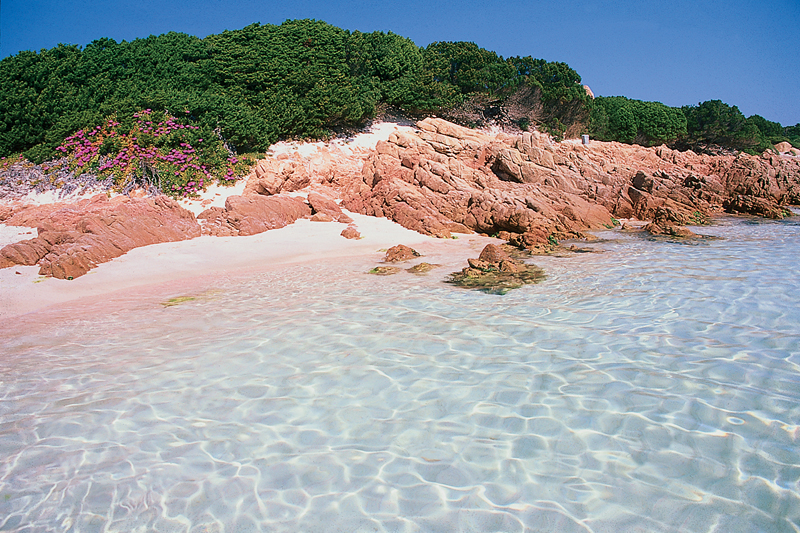 Spiaggia Rosa - Budelli - Arcipelago La Maddalena - Gallura - Vacanze Sardegna