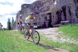 Gallery view 2