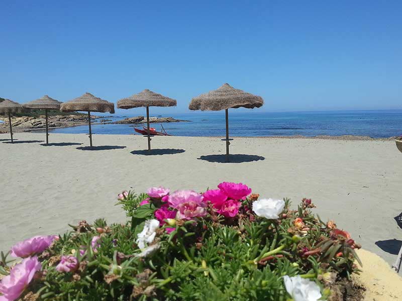 Residencia Porto Corallo - Foto 7