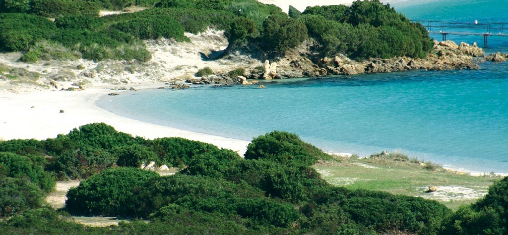 Main view