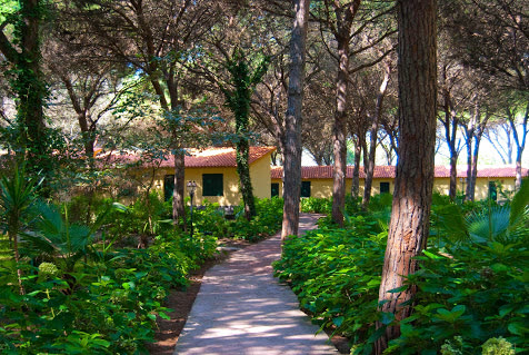 Arborea - Horse Country Resort - Foto 19