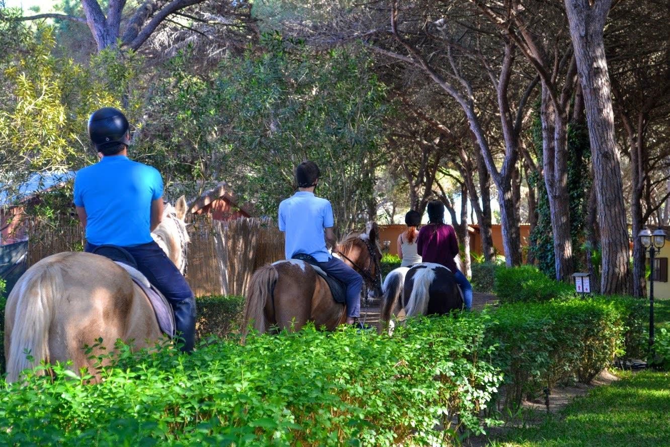 Arborea - Horse Country Resort - Foto 20