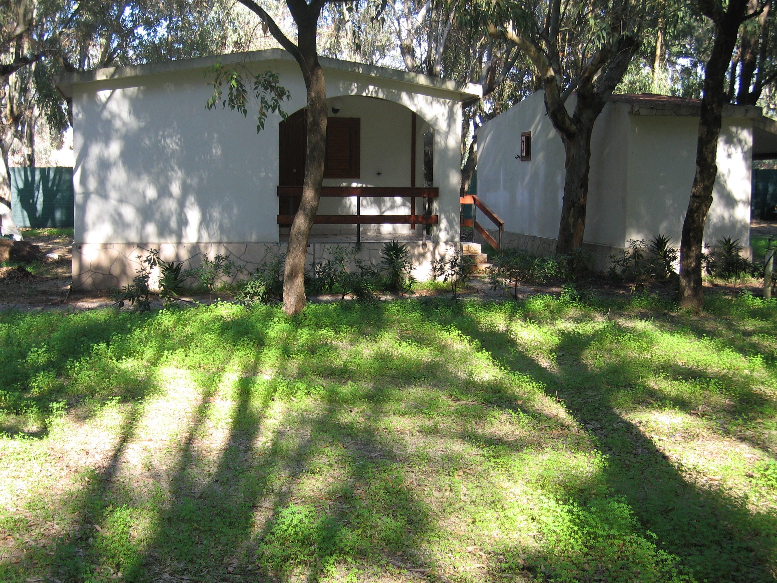 Gallery view 1