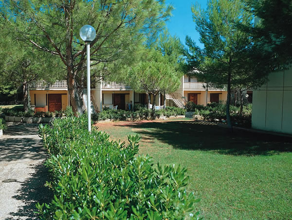 Main view